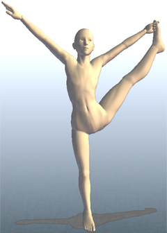 ヨガ 一本足のポーズ 2