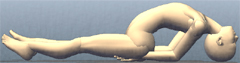 ヨガ 魚のポーズ 2