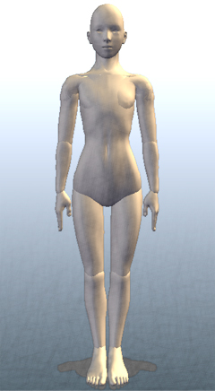 ヨガ 直立のポーズ（山のポーズ）