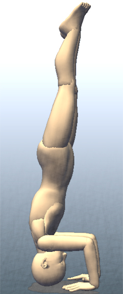 三点倒立のポーズ ポーズ名の一覧 ヨガ（ヨーガ） ヨーガ ラブ