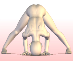 ヨガ 立って両足を伸ばすポーズ prasarita padottanasana
