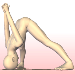 ヨガ 立って両足を伸ばすポーズ 2 prasarita padottanasana